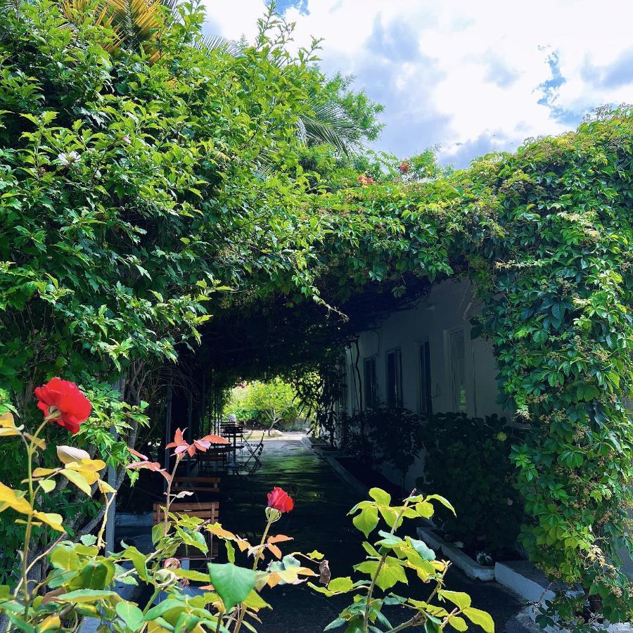 Garden Villa Naza Piqeras ภายนอก รูปภาพ